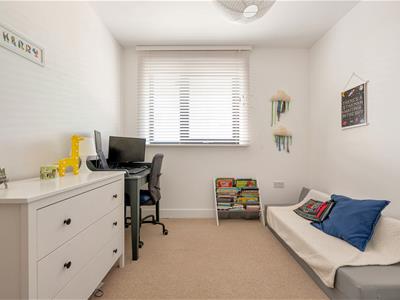 Picture 20